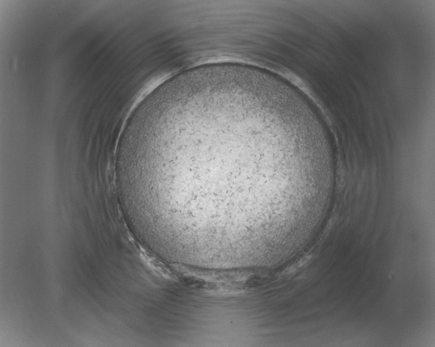 X0000080671145200701051002