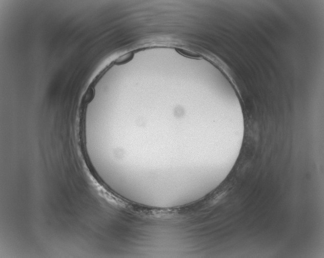 X0000080671147200701051002