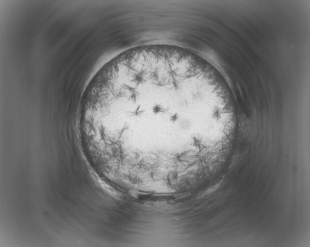 X0000080671149200701051002