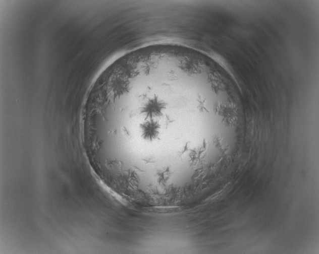 X0000080671151200701051002