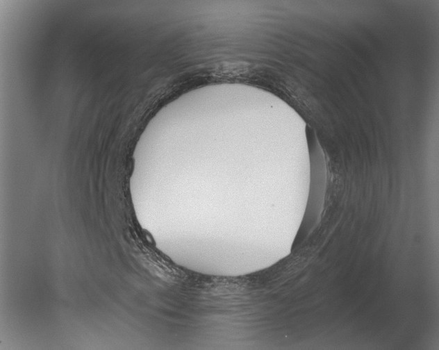 X0000080671153200701051001