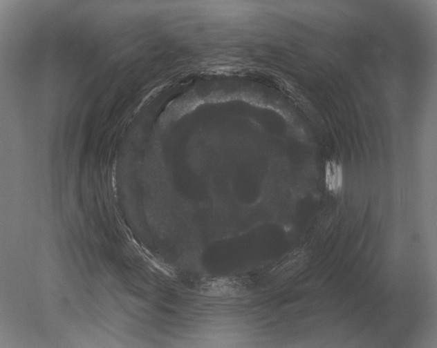 X0000080671155200701051001