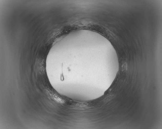 X0000080671156200701051001