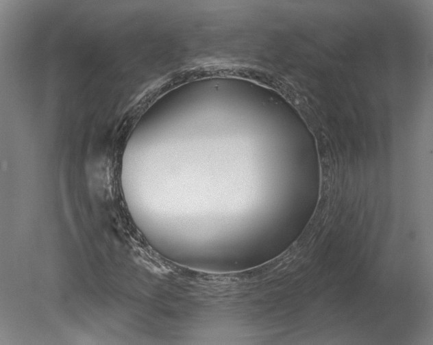 X0000080671157200701051001