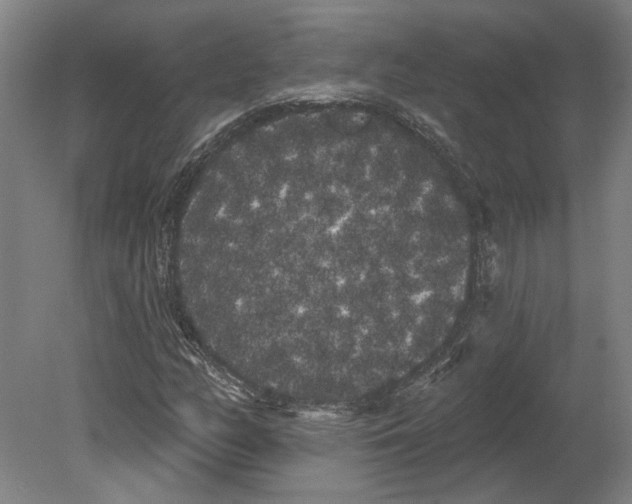 X0000080671158200701051001