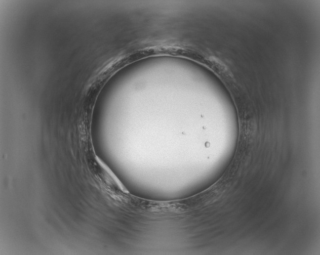 X0000080671159200701051001