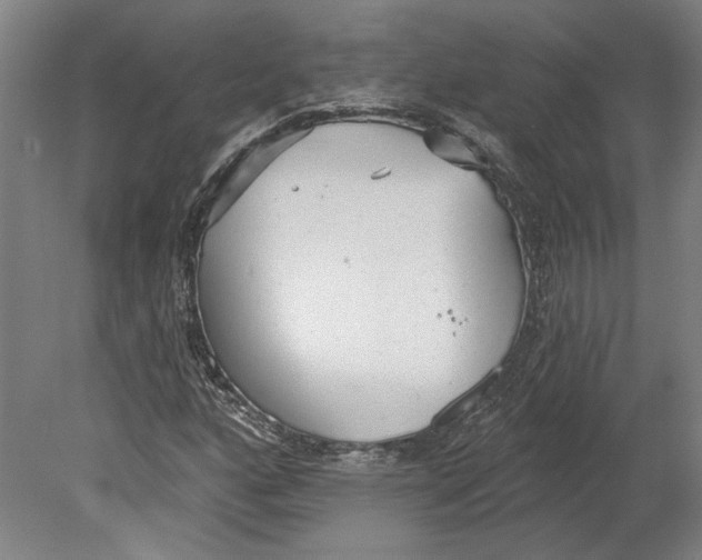 X0000080671160200701051001