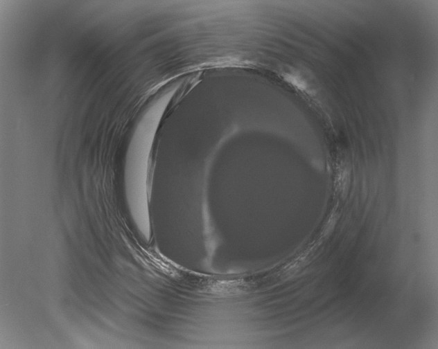 X0000080671161200701051001