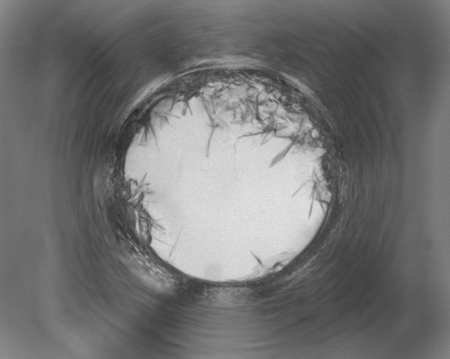 X0000080671163200701051001