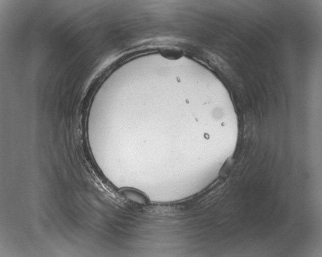 X0000080671164200701051001