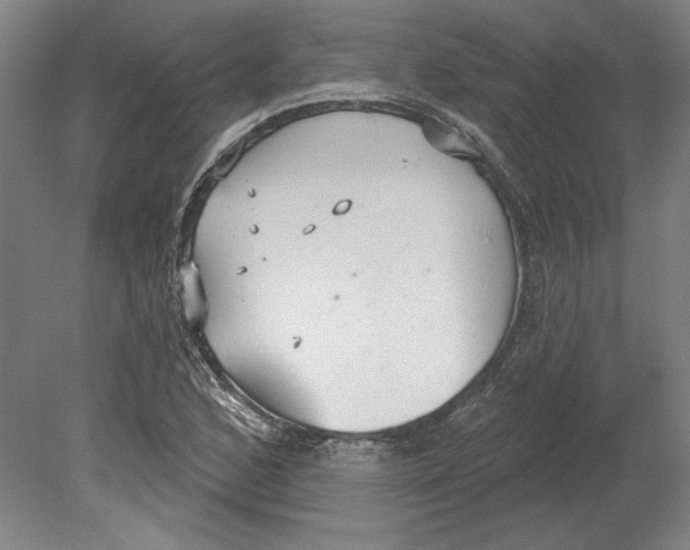 X0000080671168200701051001