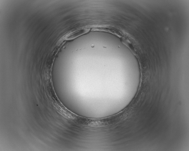 X0000080671169200701051001