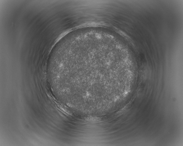 X0000080671170200701051001