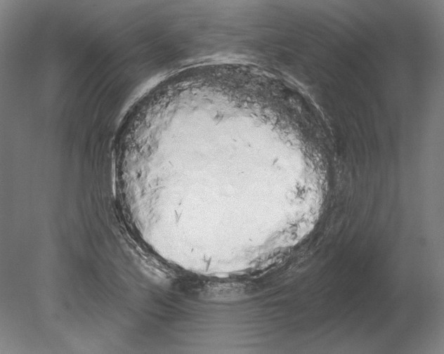 X0000080671171200701051001