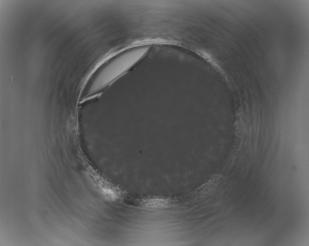 X0000080671173200701051001