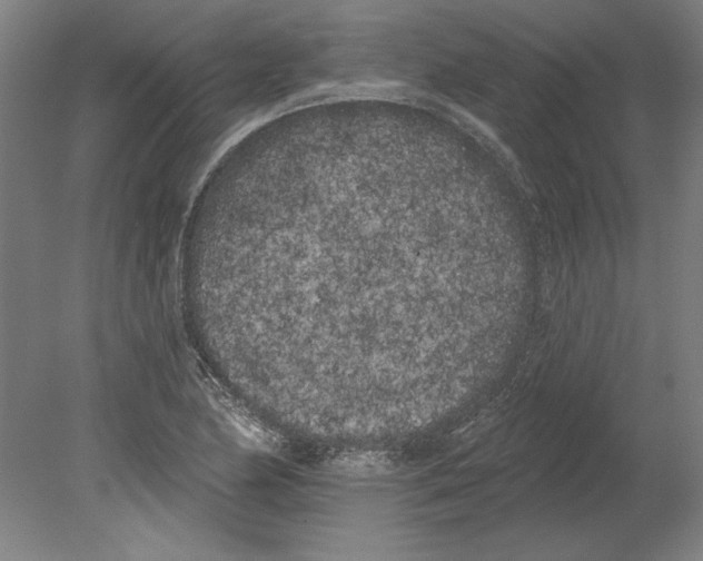 X0000080671174200701051001