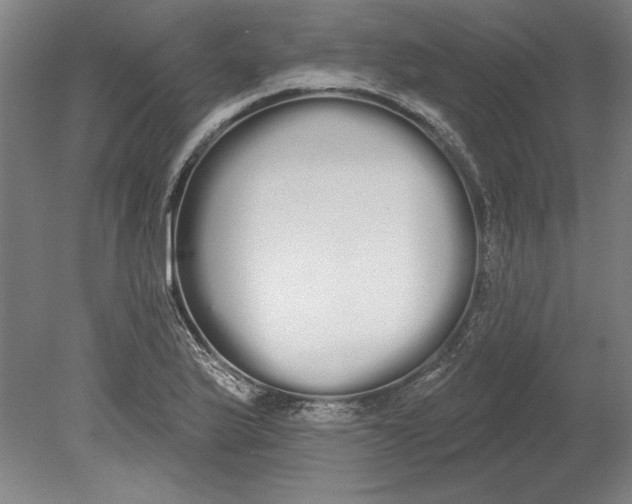 X0000080671175200701051001