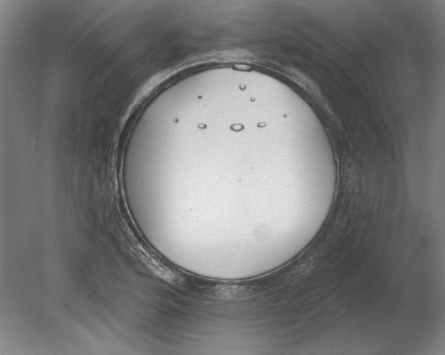 X0000080671176200701051001