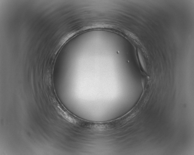 X0000080671177200701051001