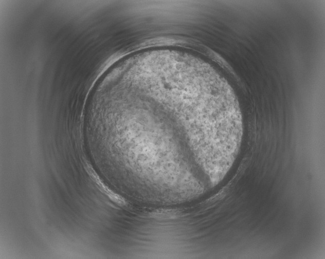 X0000080671178200701051001