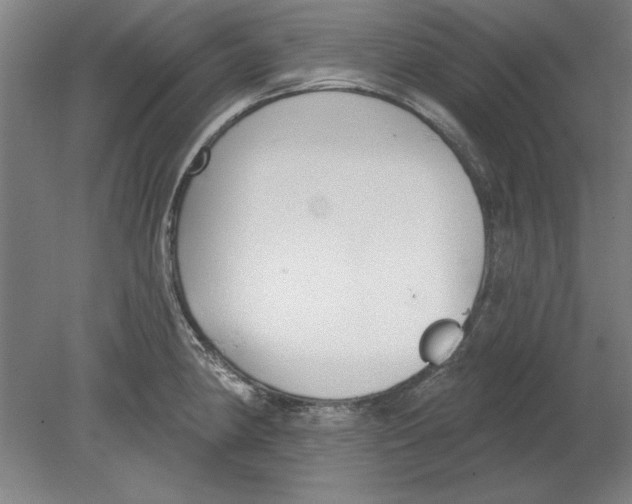 X0000080671190200701051000