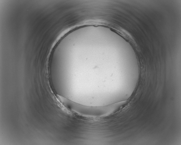 X0000080671192200701051000