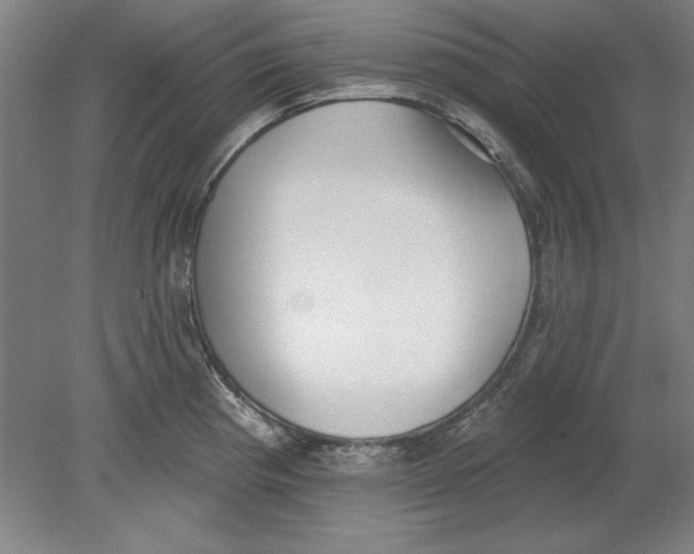 X0000080671193200701051000