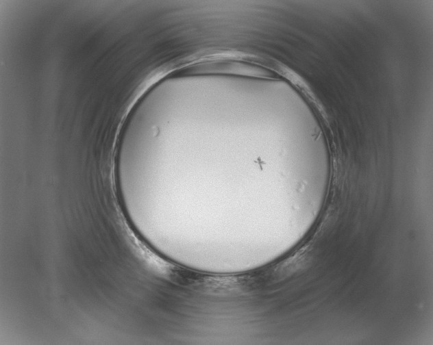 X0000080671194200701051000