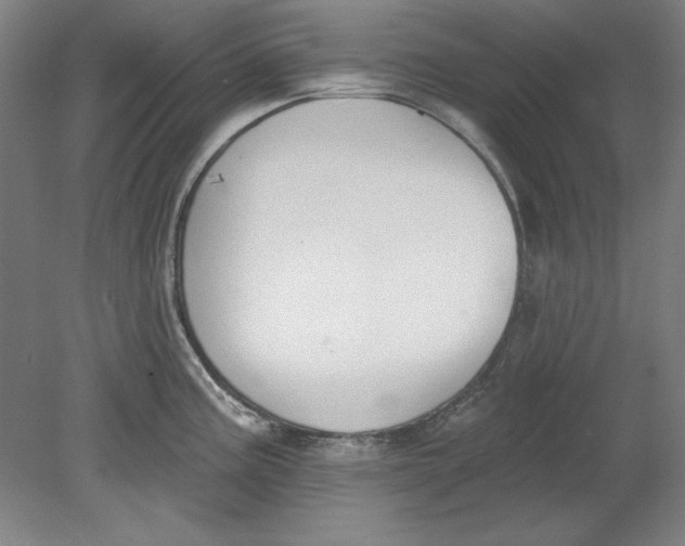 X0000080671195200701051000