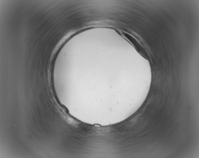 X0000080671196200701051000