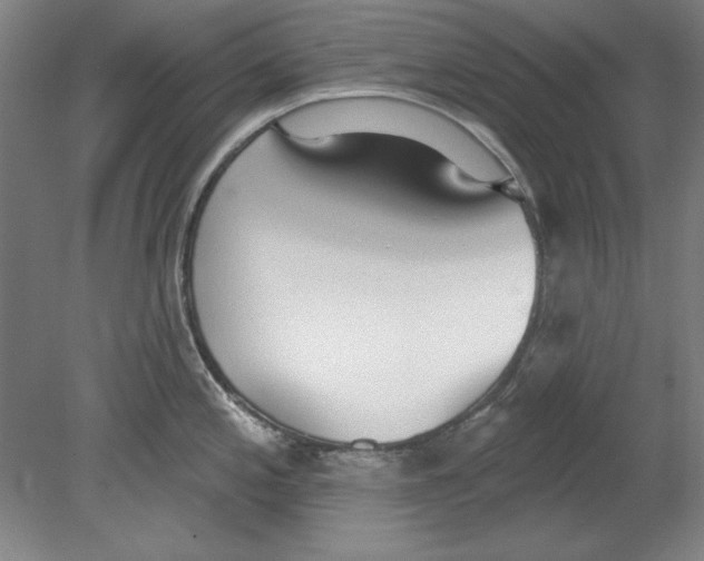 X0000080671197200701051000