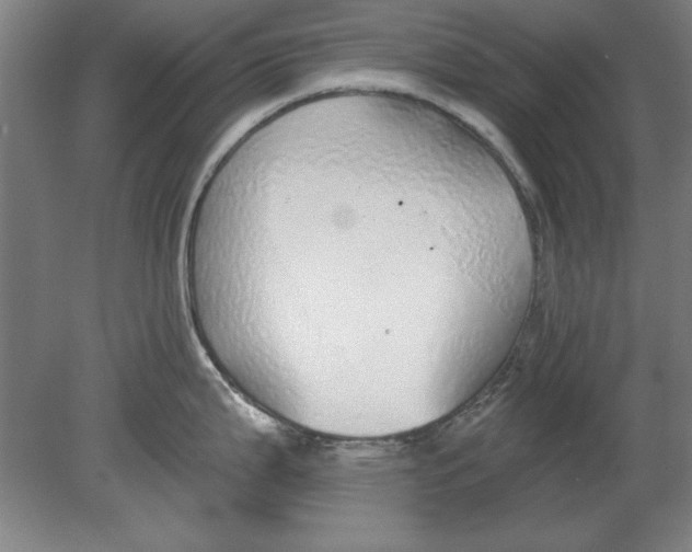 X0000080671199200701051000