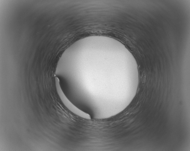 X0000080671202200701050959