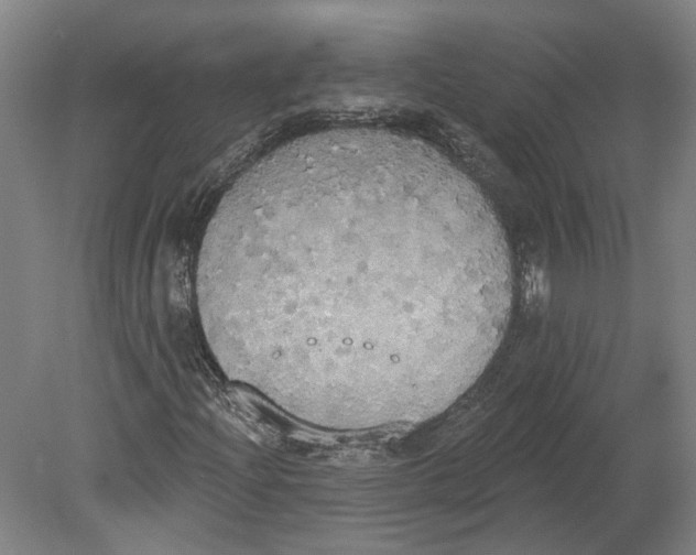 X0000080671204200701050959