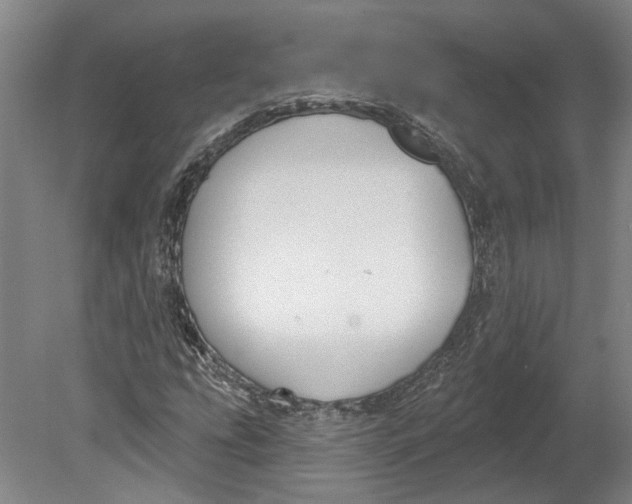 X0000080671207200701050959