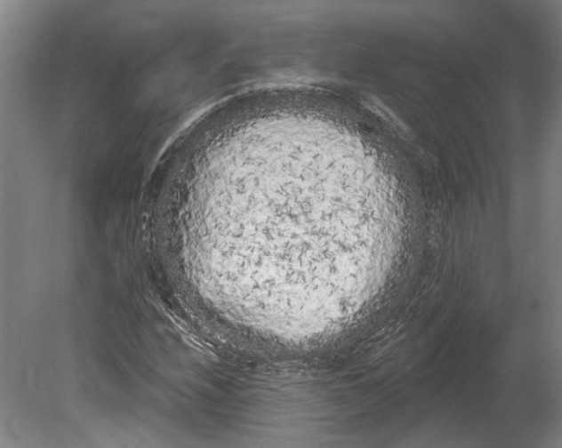 X0000080671208200701050959