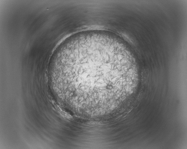 X0000080671212200701051000