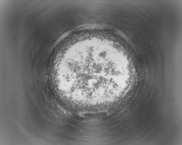 X0000080671213200701051000