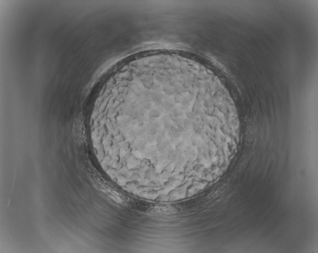 X0000080671215200701051000