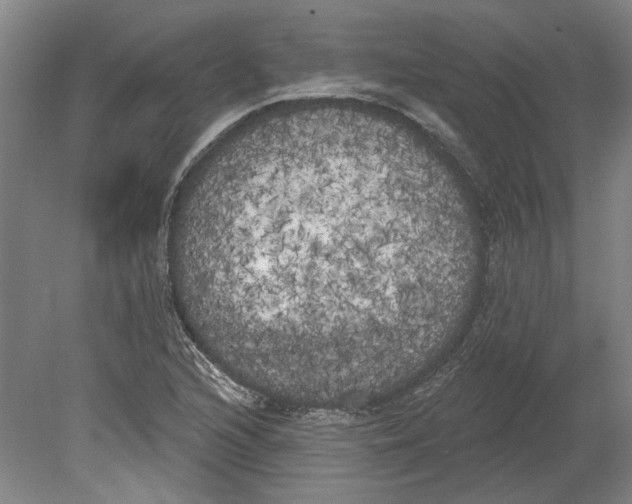 X0000080671216200701051000