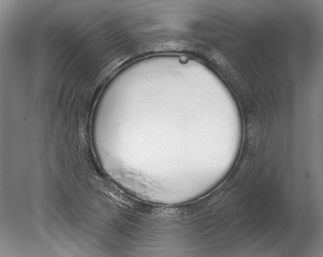 X0000080671217200701051000