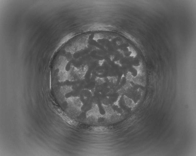 X0000080671219200701051000