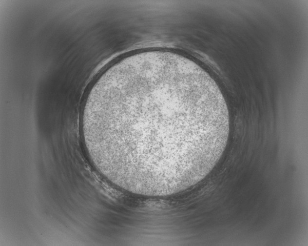 X0000080671220200701051000