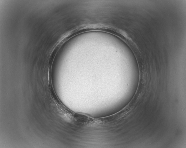 X0000080671221200701051000