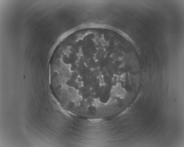 X0000080671223200701051000