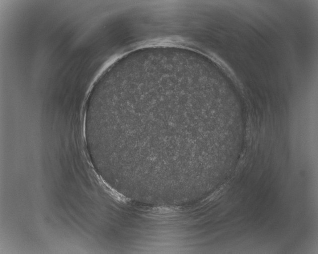 X0000080671224200701051000