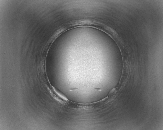 X0000080671225200701051000