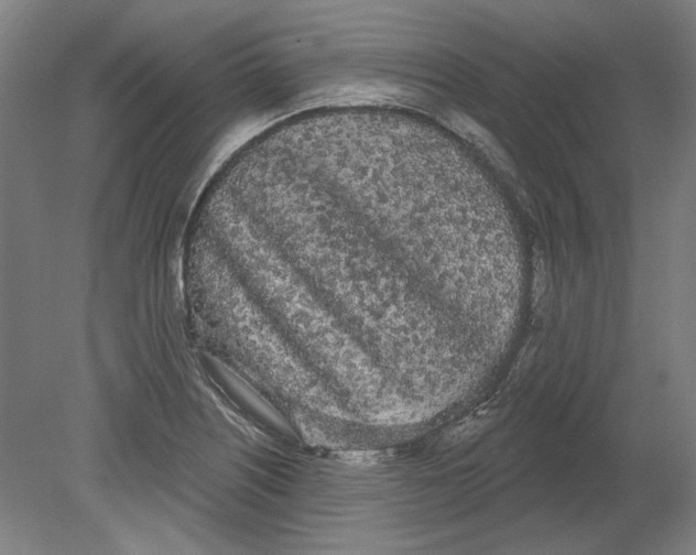 X0000080671226200701051000