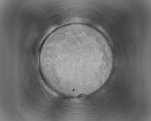 X0000080671227200701051000