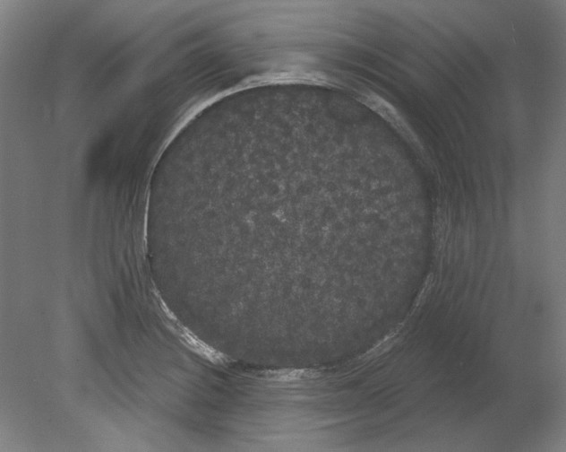 X0000080671228200701051000